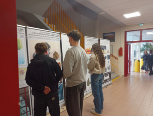 Agrandir l'image (fenêtre modale)