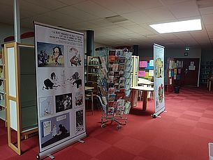 Agrandir l'image (fenêtre modale)