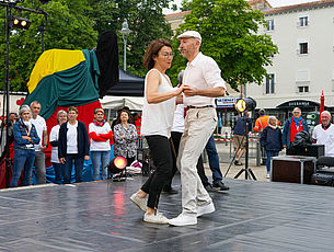 Agrandir l'image (fenêtre modale)